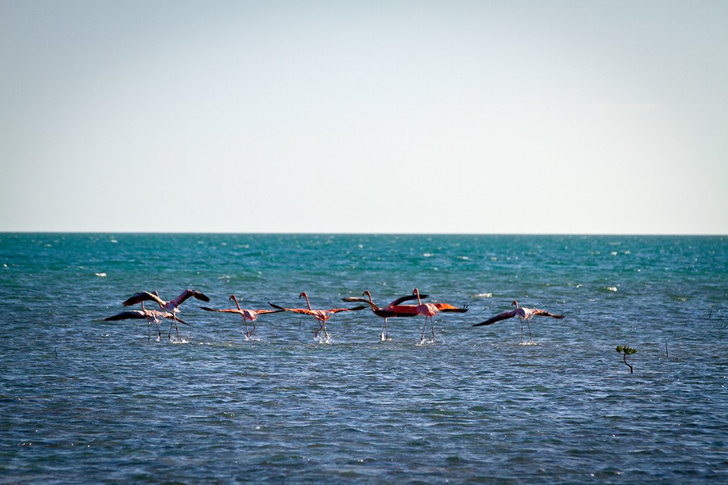 Operated by Fly Fishing The Run.